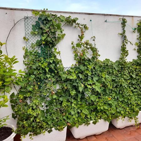 Ferienwohnung Atico Isaac Albeniz La Pineda Exterior foto