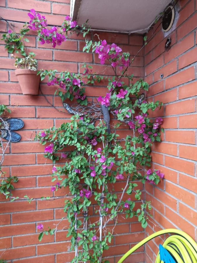 Ferienwohnung Atico Isaac Albeniz La Pineda Exterior foto